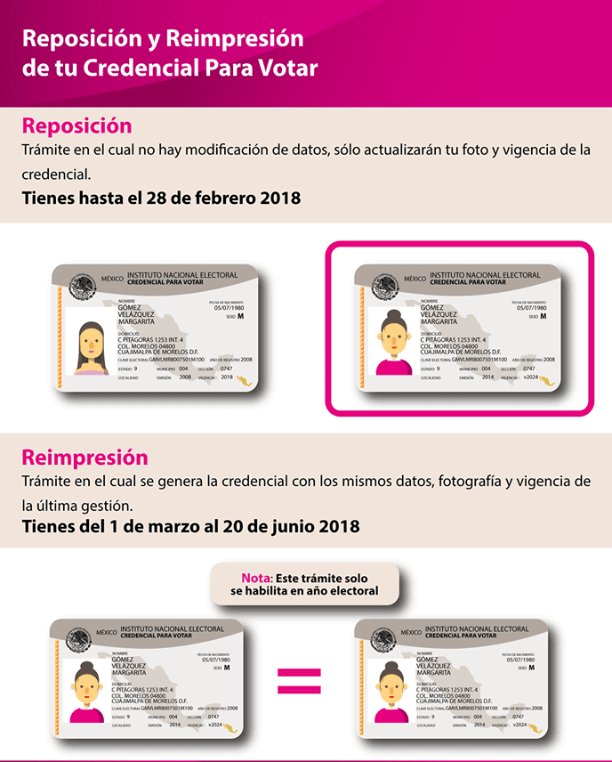 Requisitos de reincorporación de INE: ¿Cómo cumplirlos?