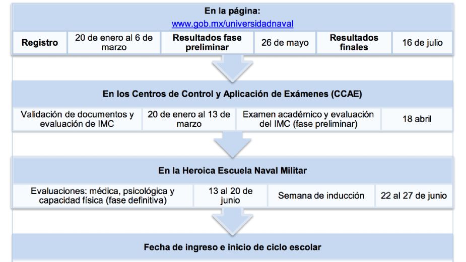Requisitos para convocatoria naval: todo lo que necesitas saber