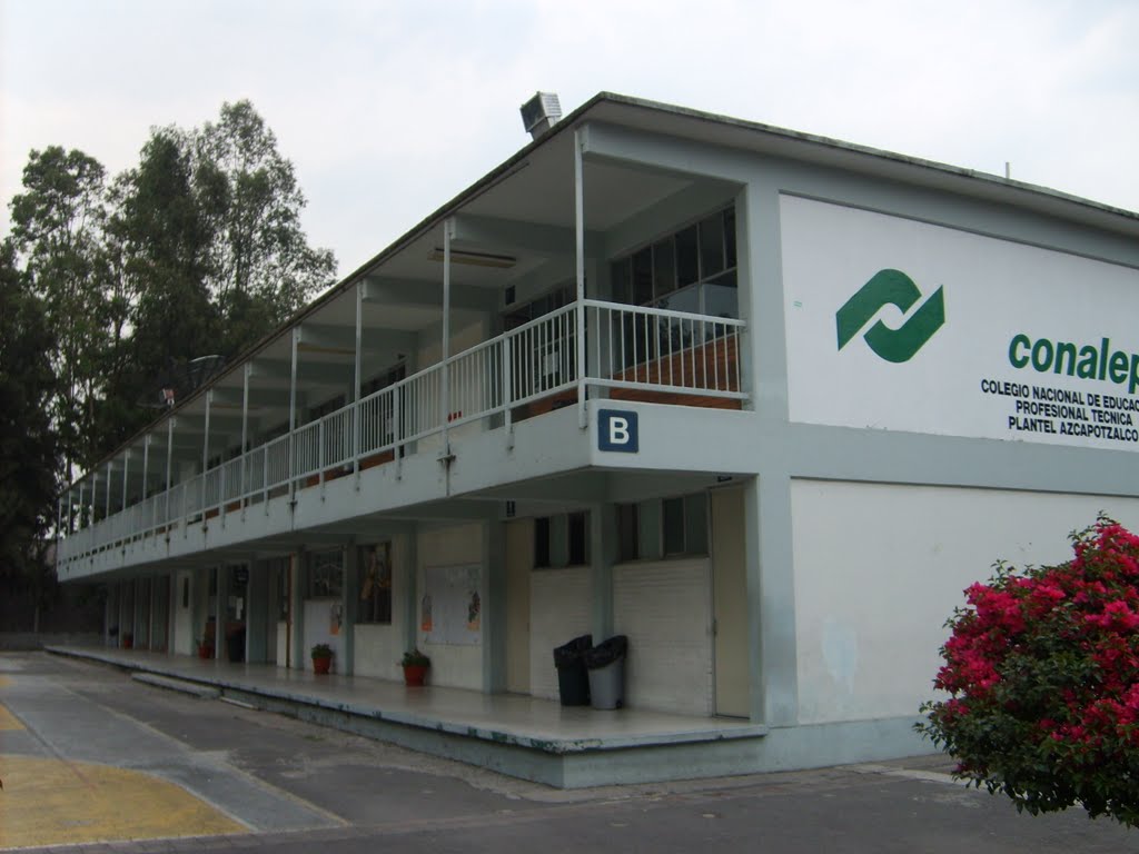 Requisitos para pre registro en Conalep: Todo lo que necesitas