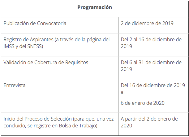 Requisitos para trabajar en el IMSS: ¿Qué necesitas saber?