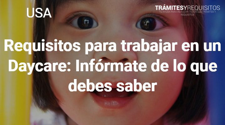 requisitos para trabajar en un kindergarten lo que necesitas saber