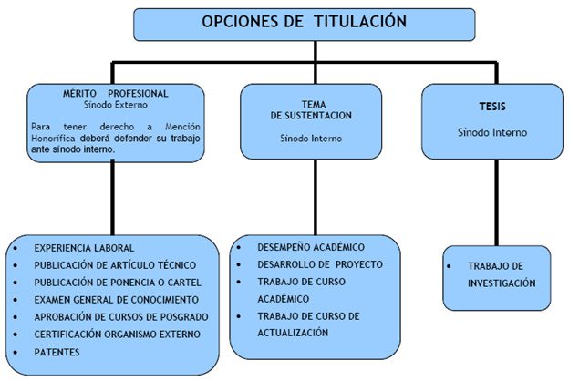 Requisitos y pasos para obtener titulación web en el ITSON
