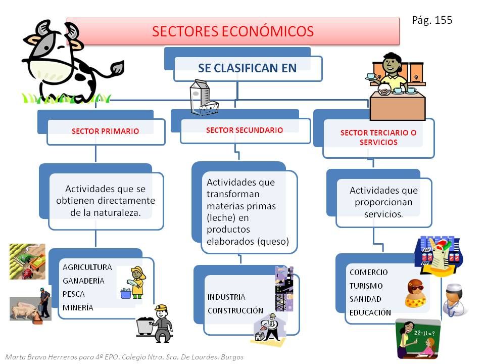 Sectores y funciones de los promotores: dónde trabajan y qué hacen