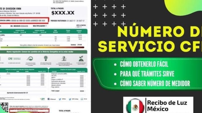 Conoce cómo obtener internet gratis utilizando el servicio de CFE