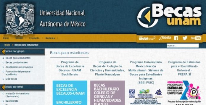 Tipos de becas de la UNAM: guía completa para estudiantes
