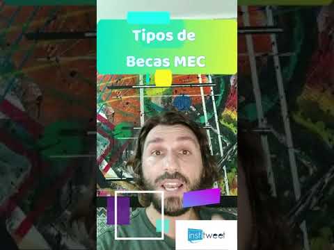 Tipos de becas: descubre cuáles existen