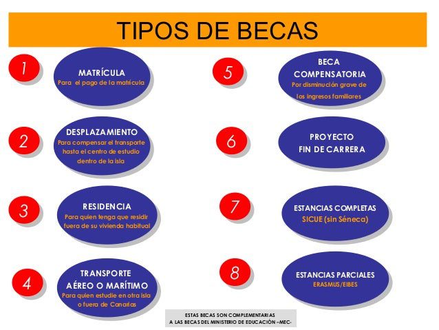 Tipos de becas disponibles para Jeff y cómo solicitarlas