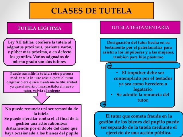 tipos de tutela una clasificacion y explicacion detallada