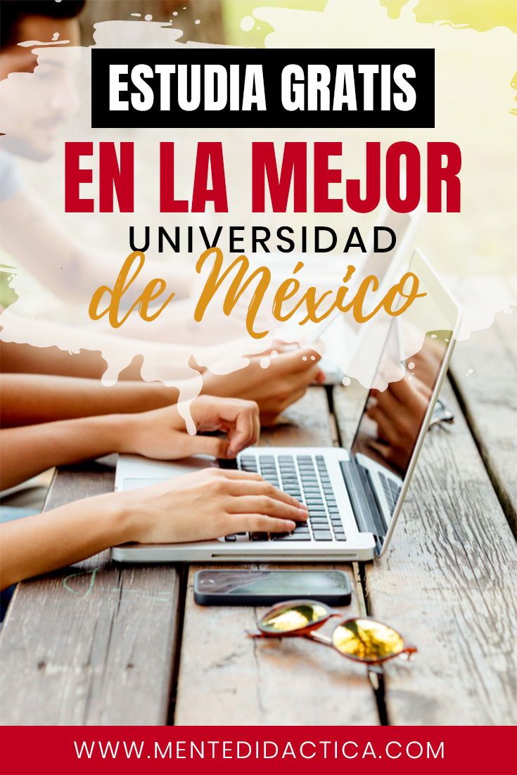 Variedad de cursos en CELE UNAM: descubre tus opciones educativas
