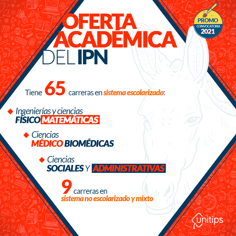 Variedad de programas académicos del IPN para estudiantes